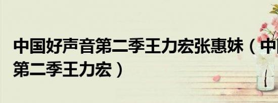 中国好声音第二季王力宏张惠妹（中国好声音第二季王力宏）