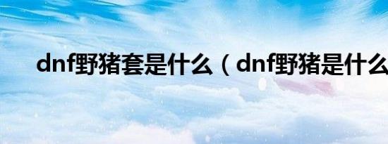 dnf野猪套是什么（dnf野猪是什么图）
