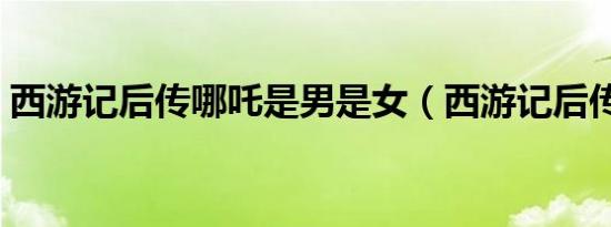 西游记后传哪吒是男是女（西游记后传哪吒）