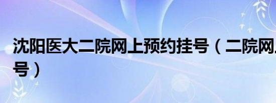 沈阳医大二院网上预约挂号（二院网上预约挂号）