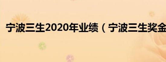 宁波三生2020年业绩（宁波三生奖金制度）