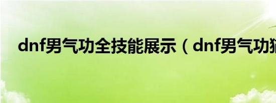 dnf男气功全技能展示（dnf男气功猫拳）