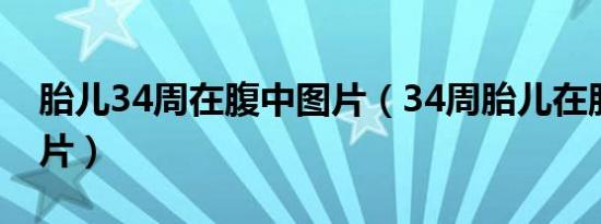 胎儿34周在腹中图片（34周胎儿在肚子里图片）