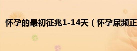 怀孕的最初征兆1-14天（怀孕尿频正常吗）