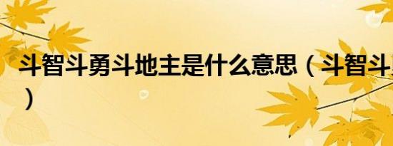 斗智斗勇斗地主是什么意思（斗智斗勇斗地主）