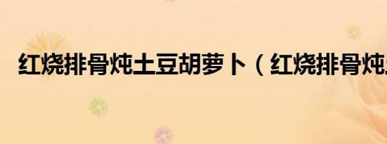 红烧排骨炖土豆胡萝卜（红烧排骨炖土豆）