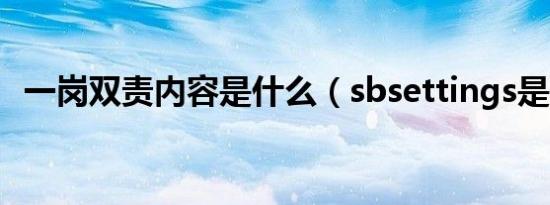 一岗双责内容是什么（sbsettings是什么）