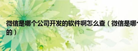 微信是哪个公司开发的软件啊怎么查（微信是哪个公司开发的）