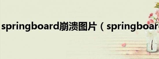 springboard崩溃图片（springboard崩溃）
