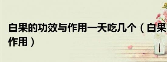 白果的功效与作用一天吃几个（白果的功效与作用）