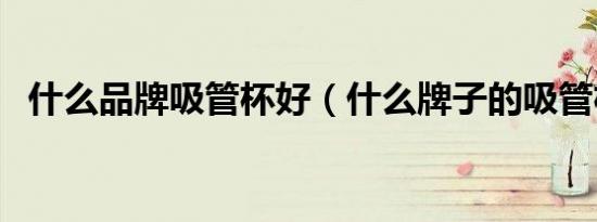 什么品牌吸管杯好（什么牌子的吸管杯好）