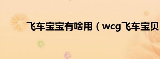 飞车宝宝有啥用（wcg飞车宝贝）