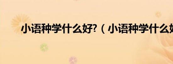 小语种学什么好?（小语种学什么好）