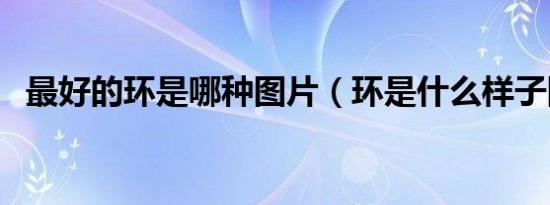 最好的环是哪种图片（环是什么样子图片）