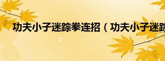 功夫小子迷踪拳连招（功夫小子迷踪拳）
