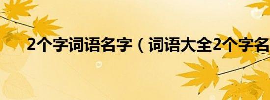 2个字词语名字（词语大全2个字名词）