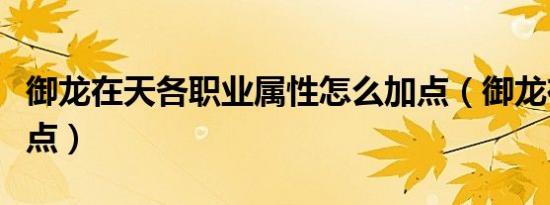 御龙在天各职业属性怎么加点（御龙在天属性点）