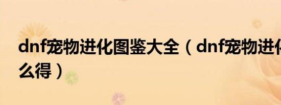 dnf宠物进化图鉴大全（dnf宠物进化药剂怎么得）
