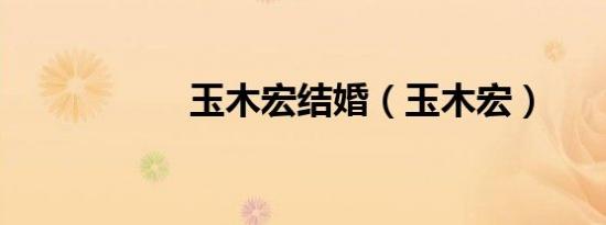 玉木宏结婚（玉木宏）