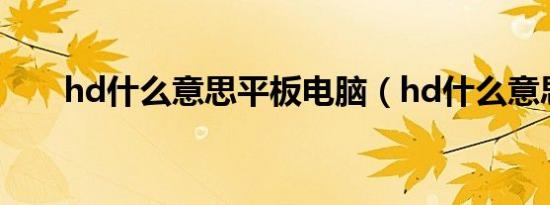 hd什么意思平板电脑（hd什么意思）