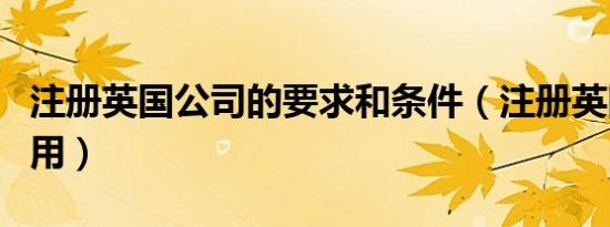 注册英国公司的要求和条件（注册英国公司费用）