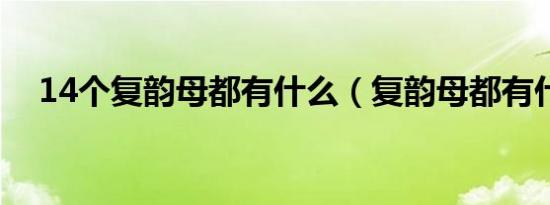 14个复韵母都有什么（复韵母都有什么）