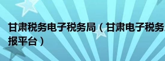 甘肃税务电子税务局（甘肃电子税务局网上申报平台）