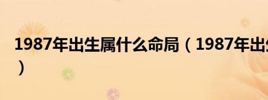 1987年出生属什么命局（1987年出生属什么）