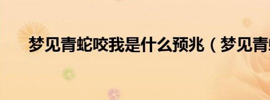 梦见青蛇咬我是什么预兆（梦见青蛇）