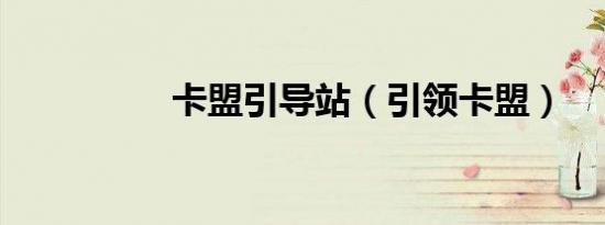 卡盟引导站（引领卡盟）