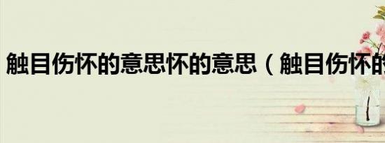 触目伤怀的意思怀的意思（触目伤怀的意思）