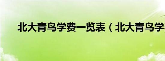 北大青鸟学费一览表（北大青鸟学费）