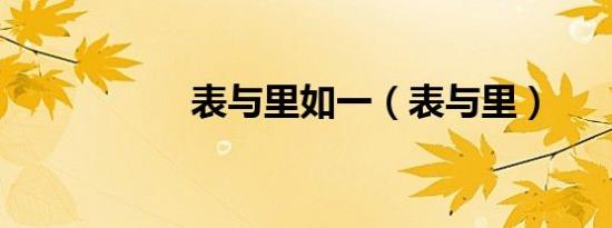 表与里如一（表与里）