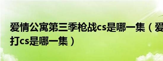 爱情公寓第三季枪战cs是哪一集（爱情公寓3打cs是哪一集）