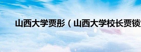山西大学贾彤（山西大学校长贾锁堂）