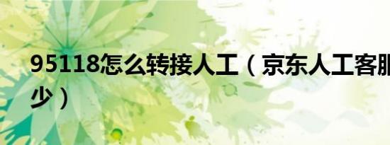 95118怎么转接人工（京东人工客服电话多少）