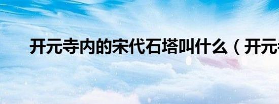 开元寺内的宋代石塔叫什么（开元寺）