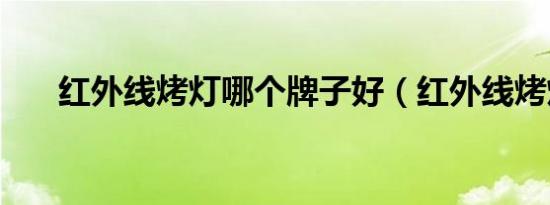 红外线烤灯哪个牌子好（红外线烤灯）