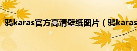 鸦karas官方高清壁纸图片（鸦karas图片）