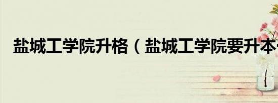 盐城工学院升格（盐城工学院要升本一吗）