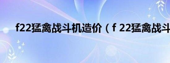 f22猛禽战斗机造价（f 22猛禽战斗机）