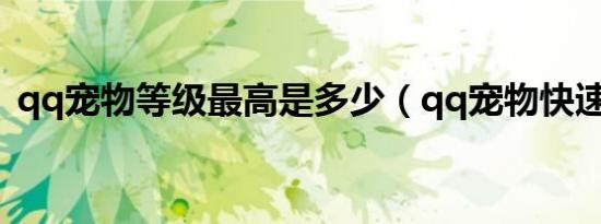 qq宠物等级最高是多少（qq宠物快速升级）