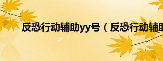 反恐行动辅助yy号（反恐行动辅助）
