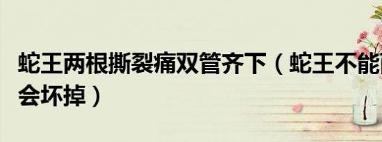 蛇王两根撕裂痛双管齐下（蛇王不能两个一起会坏掉）