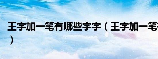 王字加一笔有哪些字字（王字加一笔有哪些字）
