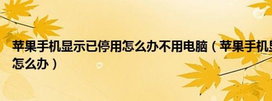 苹果手机显示已停用怎么办不用电脑（苹果手机显示已停用怎么办）