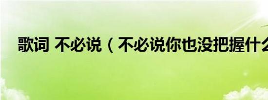 歌词 不必说（不必说你也没把握什么歌）