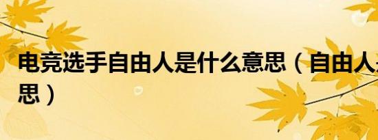 电竞选手自由人是什么意思（自由人是什么意思）