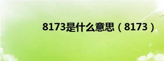 8173是什么意思（8173）