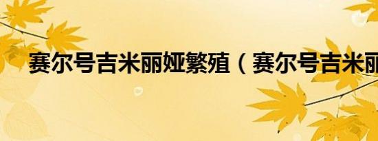 赛尔号吉米丽娅繁殖（赛尔号吉米丽娅）